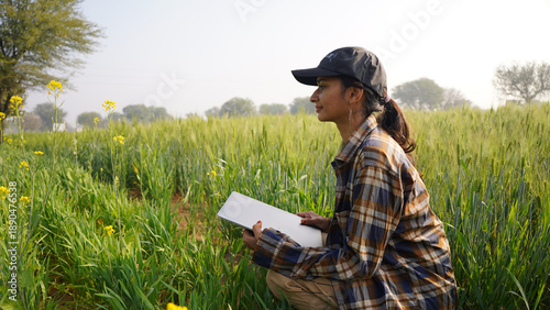 Young woman holding laptop, tablet in the wheat field. Business lady inspecting concept, sitting and using notebook. Female farmer wearing cap in middle of crop. A Happy smiling girl
