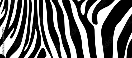 Zebra stripe seamless pattern in black and white. Wild animal skin texture background. Abstract zebra fur surface concept for design and print.
