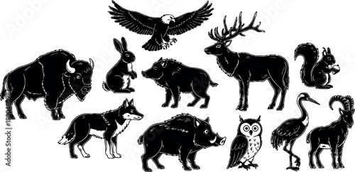 Detailed black and white vector art of wild animals including buffalo, eagle flying, rabbit standing, boars, deer, wolf, owl, squirrel holding nut, heron, and mountain goat illustrations