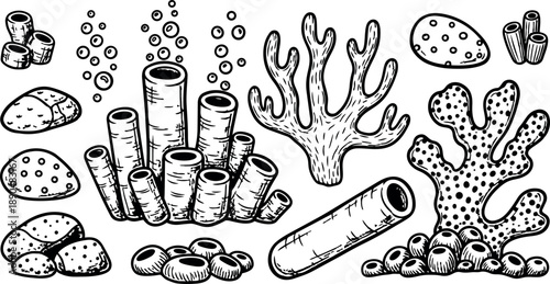 Black and white hand drawn coral reef illustration set with various tube and brain corals underwater marine life elements in detailed line art style