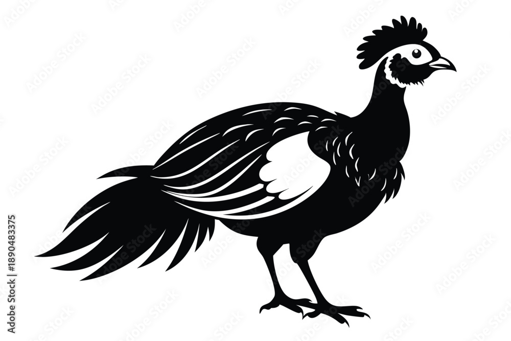Fototapeta premium curassow silhouette line art vector illustration