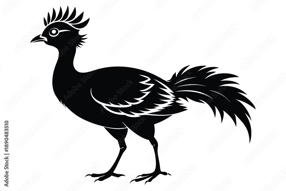 Fototapeta premium curassow silhouette line art vector illustration