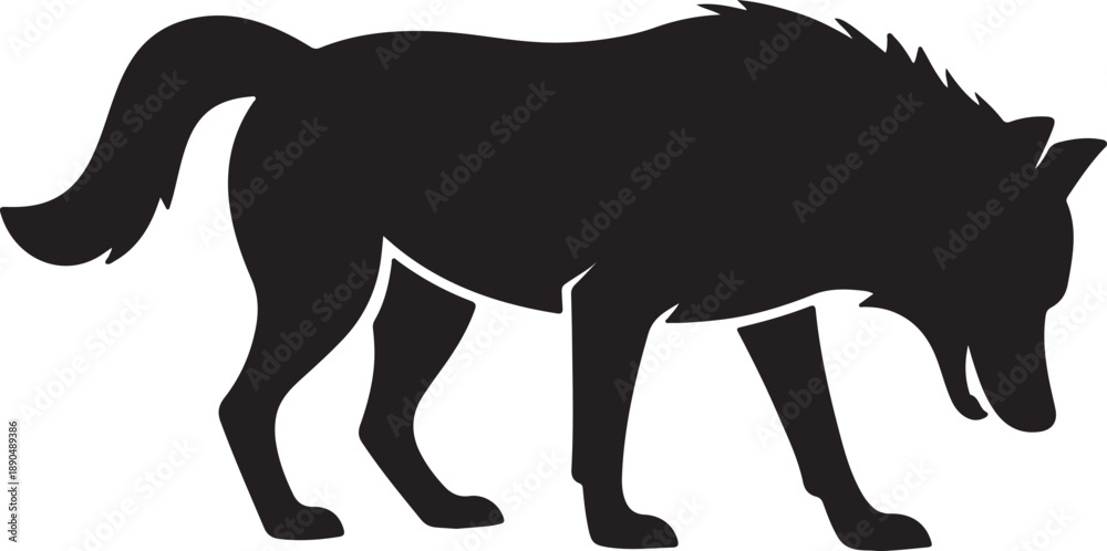 Obraz premium A curious black silhouette of a wolf bending its head down as if sniffing or foraging on the ground