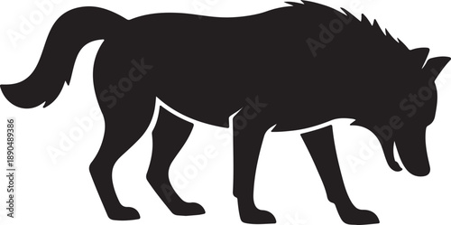 A curious black silhouette of a wolf bending its head down as if sniffing or foraging on the ground