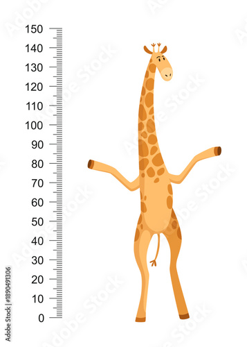 Funny giraffe. Cheerful funny giraffe with long neck. Giraffe meter wall or height chart or wall sticker. Illustration with scale from 0 to 150 centimeter to measure growth