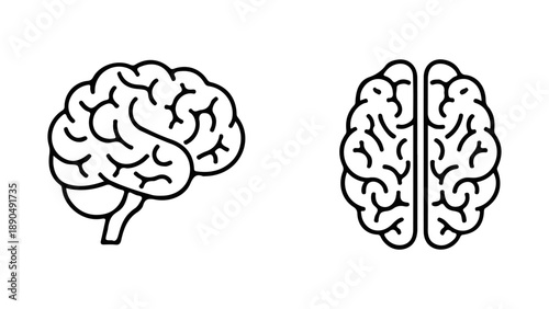 Simple line art icons of human brain from side and top view isolated on white background, Vector, illustration