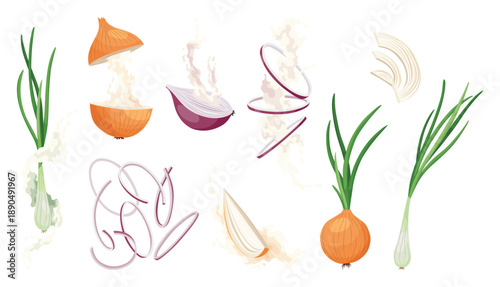 Set of Onions icons. Onion bulb in peel, half and rings. Yellow Head of onion with green sprout and pieces. Cook ingredients, spices. Organic food