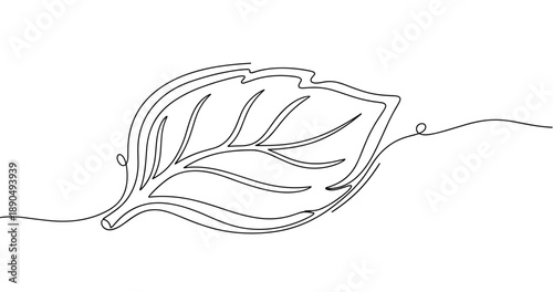 Minimalist one-line drawing of a leaf on white background. Non editable stroke