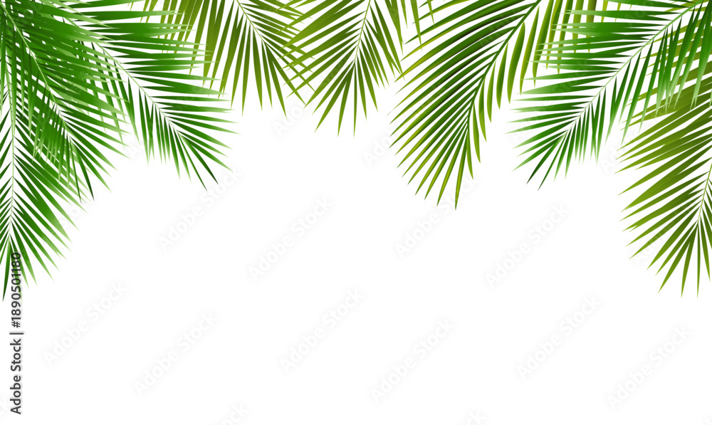 Obraz premium Eco Frame With Green Palm Tree Leaves