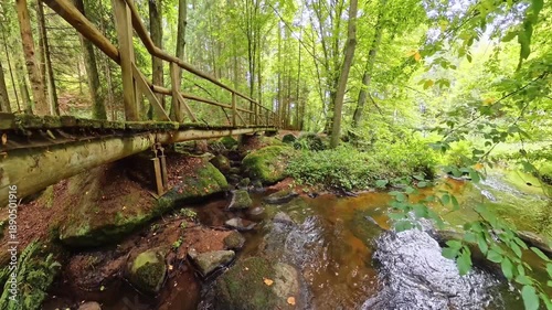 Side View of Rustic Wooden Bridge Over Clear Forest Stream – Peaceful Nature Scene