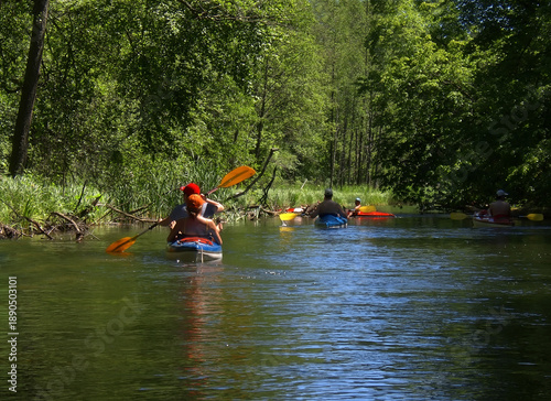 Wallpaper Mural A group of family kayakers pads down the Krutynia River in summer. Shot from behind, into the sun. Lots of color. A dark green forest in the background. Wildlife. Torontodigital.ca