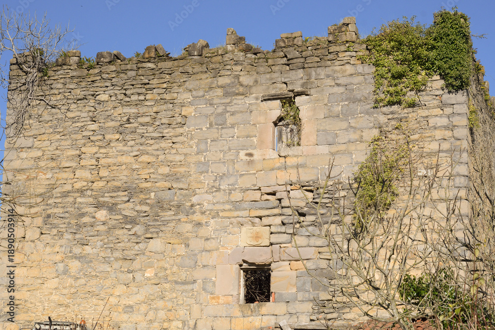 Fototapeta premium Ruins of an old Urrutia tower house in Sopuerta