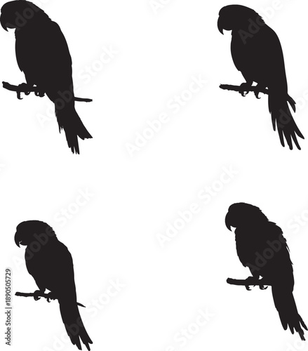 Five black silhouettes of crows in different poses