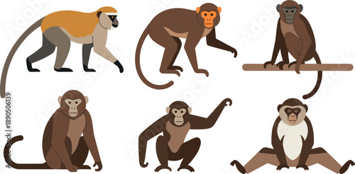 Collection of colorful monkey characters in various natural poses and positions