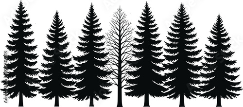 coniferous tree silhouettes, forest illustration, nature outline, environmental design, foliage diversity, bare tree contrast, woodland graphic, ecological art, landscape decor, botanical icons