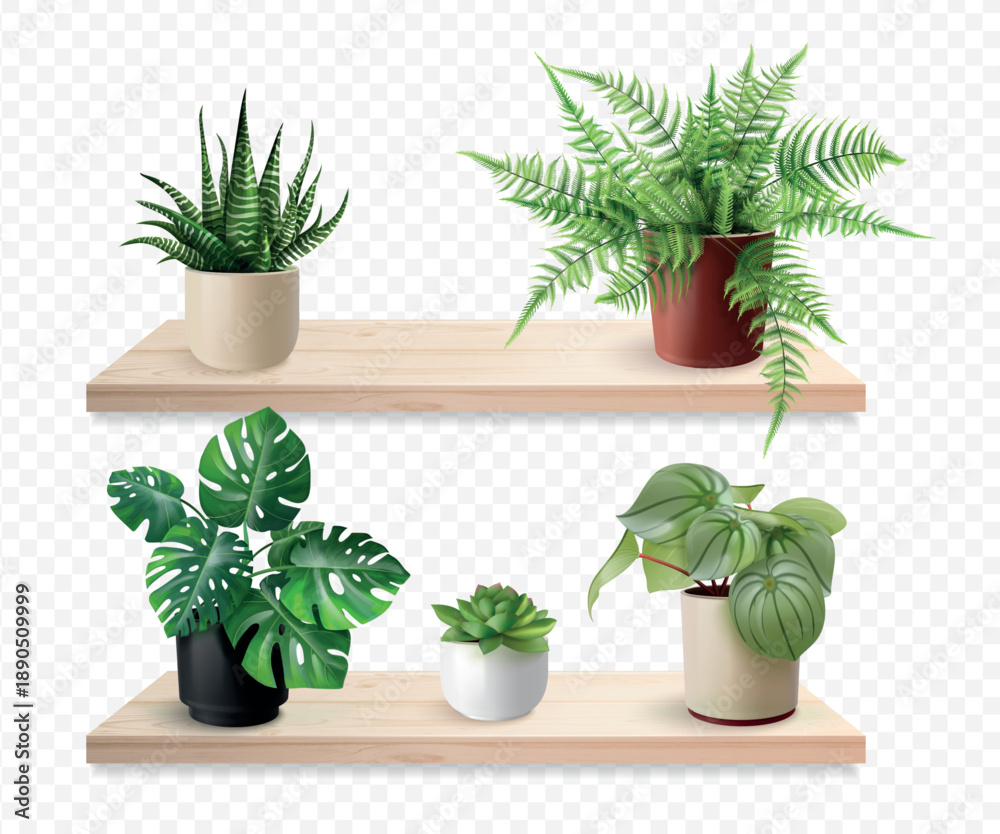 Obraz premium Realistic houseplants shelves. House plant in ceramic vase on wooden shelf indoor home office interior, flowers pot green leaves wood bookshelf wall mockup 3d vector illustration