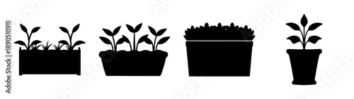 Collection of potted plants and seedlings in planters, flat design vector illustration