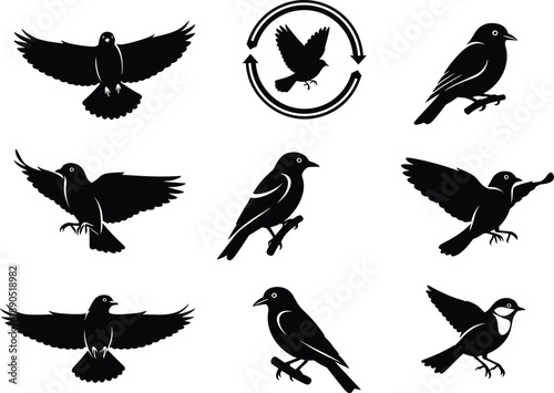 Bird vector silhouettes set, black flying and perched birds collection for wildlife, nature, logo, tattoo, emblem, graphic design projects