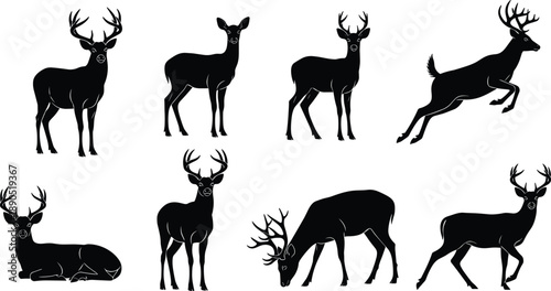 Deer vector silhouettes set, black stag and doe poses, wild forest animals collection for wildlife, hunting, nature graphic design