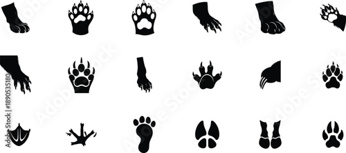 Collection of various animal footprints and paw prints