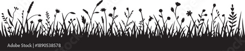 Black silhouette border of a meadow with various wildflowers and grasses on a white background Keywords: meadow silhouette wildflower grass nature plant growth field isolated black and white