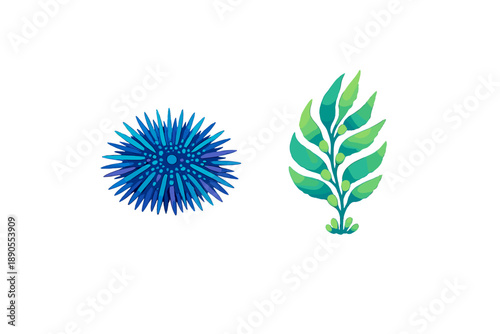 Two ocean-inspired illustrations of a sea urchin and seaweed on a plain background showcasing marine life and nature