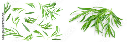 Foto tarragon or estragon isolated on a white background