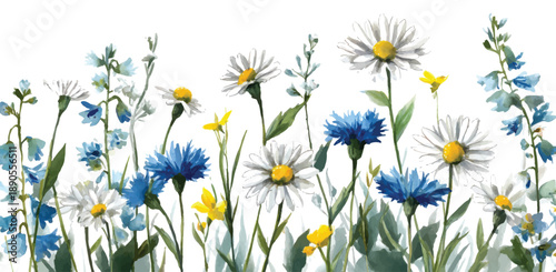 Watercolor delicate wildflower line with daisies and blue field flowers