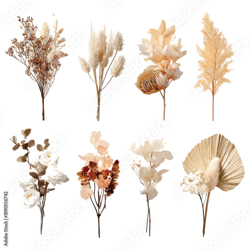 Watercolor dried floral element set with pampas grass and autumn leaves