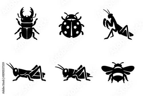 Black silhouettes of common insects including beetle, ladybug, praying mantis, grasshopper, and bee