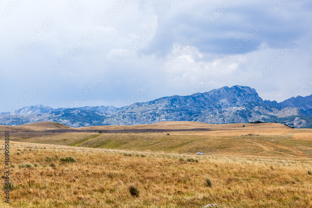 Obraz premium Vast golden plains extend toward rugged mountains beneath a moody, overcast sky