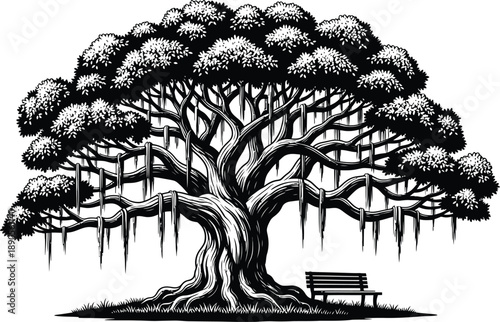 Majestic ancient banyan tree with aerial roots and a tranquil park bench under its branches