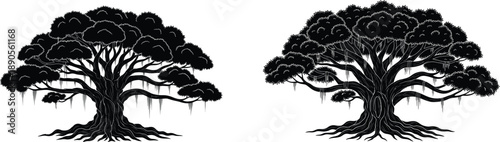 Silhouette of two large banyan trees with hanging roots and dense canopies