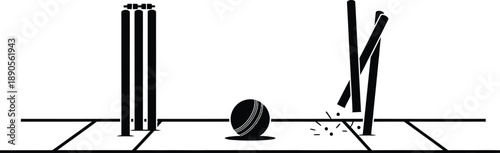 Cricket game illustration, stumps and ball on the pitch, action shot