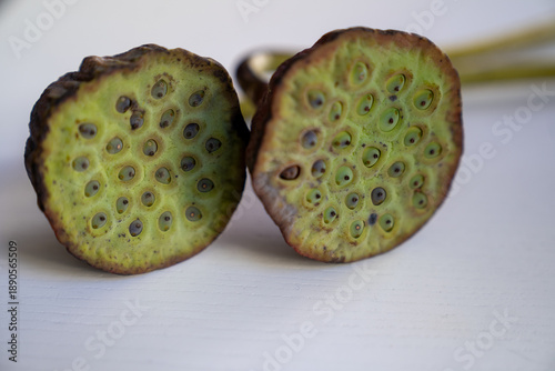 Close-up of dried lotus seed pods on a white surface. Natural botanical texture with organic shapes and earthy tones, minimal composition with copy space
