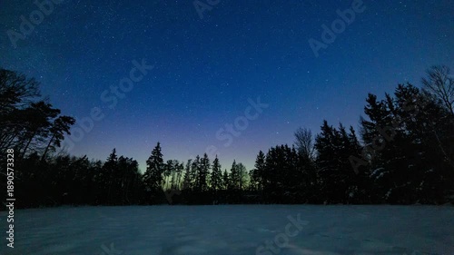 Aurora over forest. Calm night timelapse with northern lights.