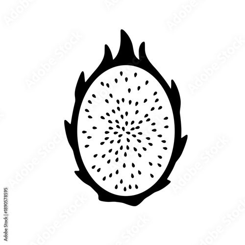 vector illustration of a kiwi