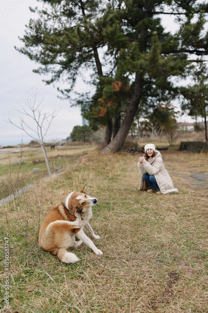 Fototapeta premium A woman kneels beside a dog in a grassy park, photographing the canine with a camera, capturing a candid outdoor moment amid trees and open landscape