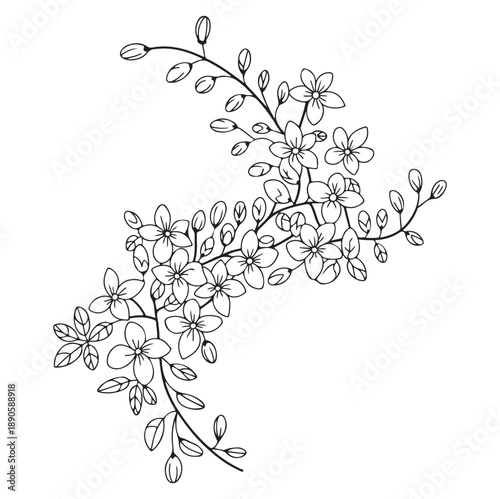 A delicate floral branch in black and white, suitable for a refined design. This elegant drawing features tiny flowers, buds, and leaves, evoking feelings of spring and renewal. 