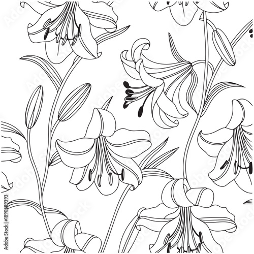 Beautiful line art drawing of elegant lily flowers. The floral pattern evokes a sense of freshness and serenity.