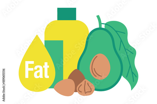 A graphic illustration of healthy fat sources including avocado, nuts, and oil