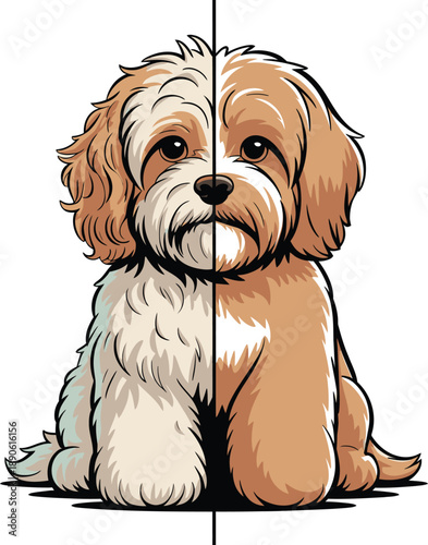 Cavapoo sitting calmly facing forward with soft fur and friendly look