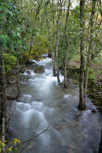 Wallpaper Mural Long exposure forest stream Torontodigital.ca