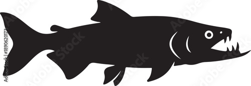 Payara Silhouette on White Background