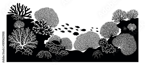 Hand drawn illustration of an underwater coral reef depicting diverse marine life and swimming fish for aquatic design