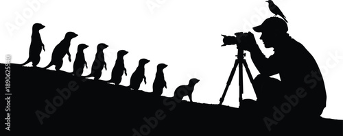 Silhouette of photographer with camera and tripod capturing meerkats on hill