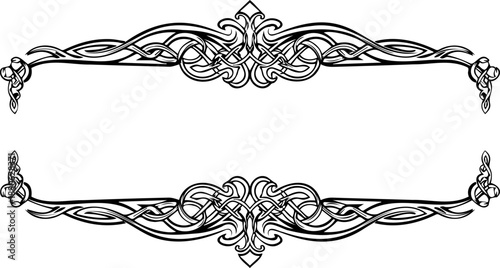 A beautiful vector graphic of ornate border designs with floral patterns and elegant lines