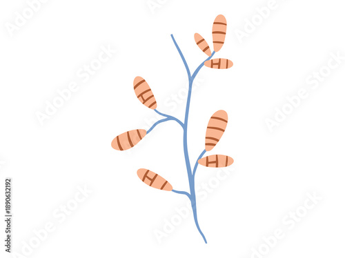 Hand Drawn Mold Ulocladium Fungus