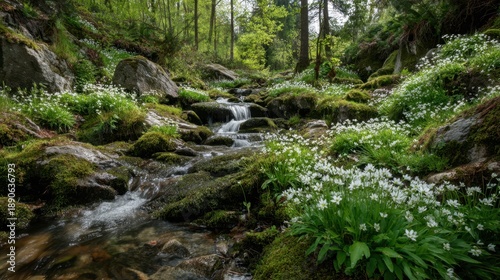 A peaceful stream meanders through a vibrant forest surrounded by delicate white flowers and green moss.