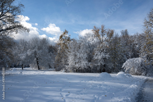 Wallpaper Mural Landscape of South Park in city of Sofia, Bulgaria Torontodigital.ca